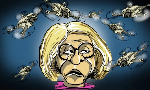 Elections municipales à Mulhouse : vol au-dessus d&rsquo;un nid de mouches électroniques ?