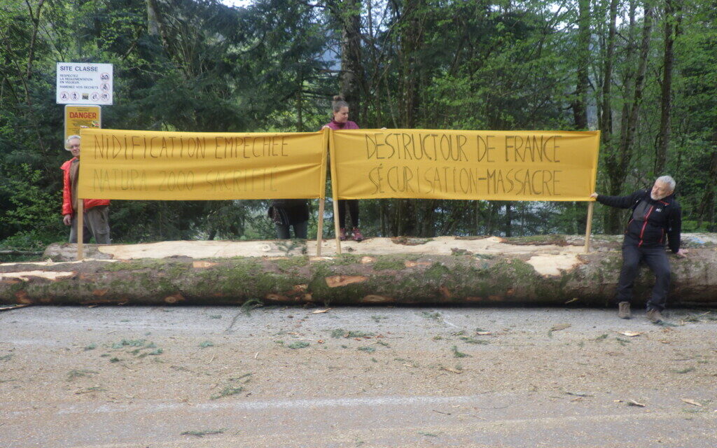 Ballon d&rsquo;Alsace : un massacre à la tronçonneuse pour « sécuriser » l&rsquo;étape Mulhouse – Markstein du Tour de France