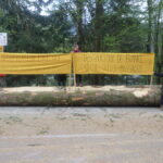 Ballon d&rsquo;Alsace : un massacre à la tronçonneuse pour « sécuriser » l&rsquo;étape Mulhouse – Markstein du Tour de France