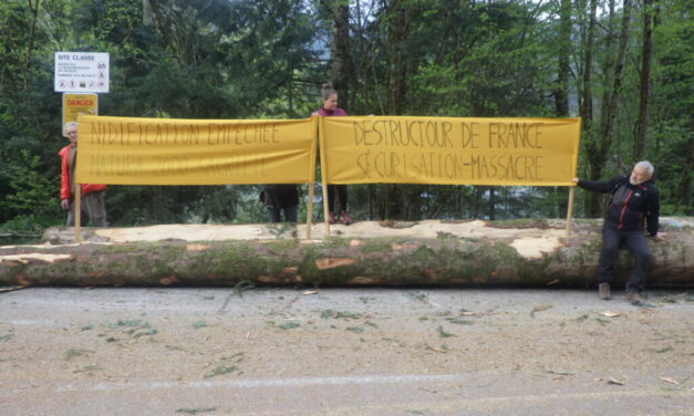 Ballon d&rsquo;Alsace : un massacre à la tronçonneuse pour « sécuriser » l&rsquo;étape Mulhouse – Markstein du Tour de France