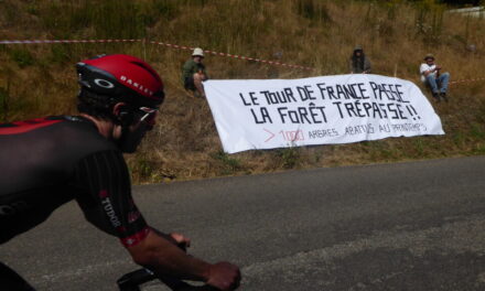Étape Mulhouse-Markstein : abattage et piétinage sont-elles les deux mamelles du Tour de France ?