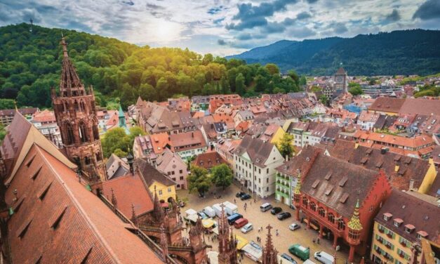 Échange avec Martin Horn, maire de Freiburg : « Mulhouse est l’une de mes villes préférées en France »