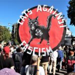 « Interdisez l&rsquo;AfD maintenant » : 150 000 personnes dans les rues d&rsquo;Allemagne, notre reportage à Fribourg