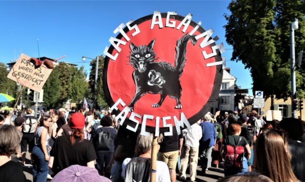 « Interdisez l&rsquo;AfD maintenant » : 150 000 personnes dans les rues d&rsquo;Allemagne, notre reportage à Fribourg