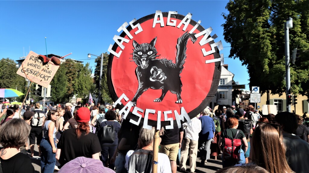 « Interdisez l&rsquo;AfD maintenant » : 150 000 personnes dans les rues d&rsquo;Allemagne, notre reportage à Fribourg