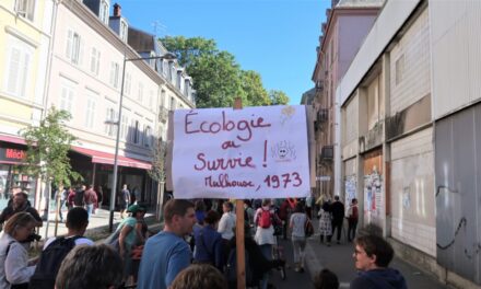 « Nous refusons le cynisme, nous refusons la fatalité » : plus de 250 personnes marchent pour le climat à Mulhouse, et 2500 en Alsace