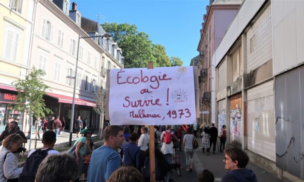 « Nous refusons le cynisme, nous refusons la fatalité » : plus de 250 personnes marchent pour le climat à Mulhouse, et 2500 en Alsace