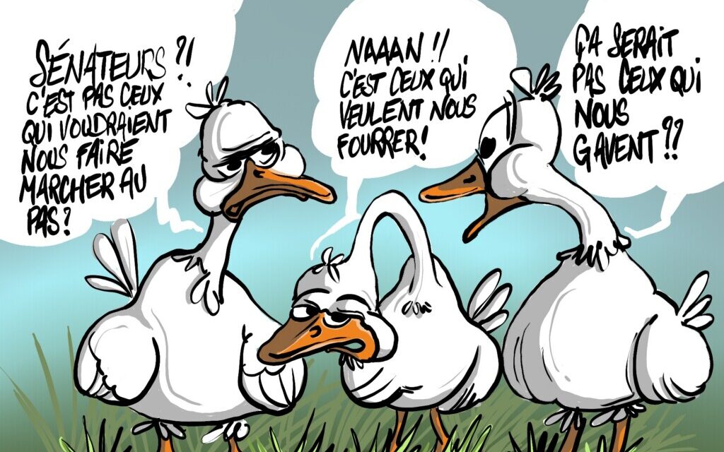 Élections sénatoriales en Alsace : neuf sièges à pourvoir, 4 854 électeurs, la démocratie du zéro (file d&rsquo;attente)…