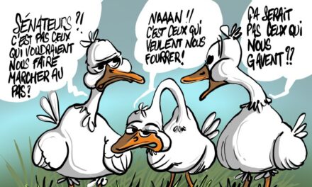 Élections sénatoriales en Alsace : neuf sièges à pourvoir, 4 854 électeurs, la démocratie du zéro (file d&rsquo;attente)…