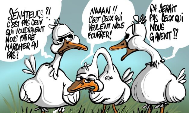 Élections sénatoriales en Alsace : neuf sièges à pourvoir, 4 854 électeurs, la démocratie du zéro (file d&rsquo;attente)…