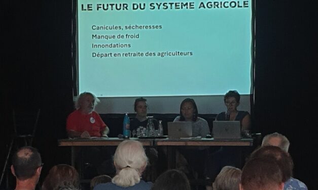 A Kingersheim, près de Mulhouse, « Les tisseurs de liens » proposent leur seconde édition du festival de l&rsquo;avenir, sur l&rsquo;alimentation et l&rsquo;agriculture